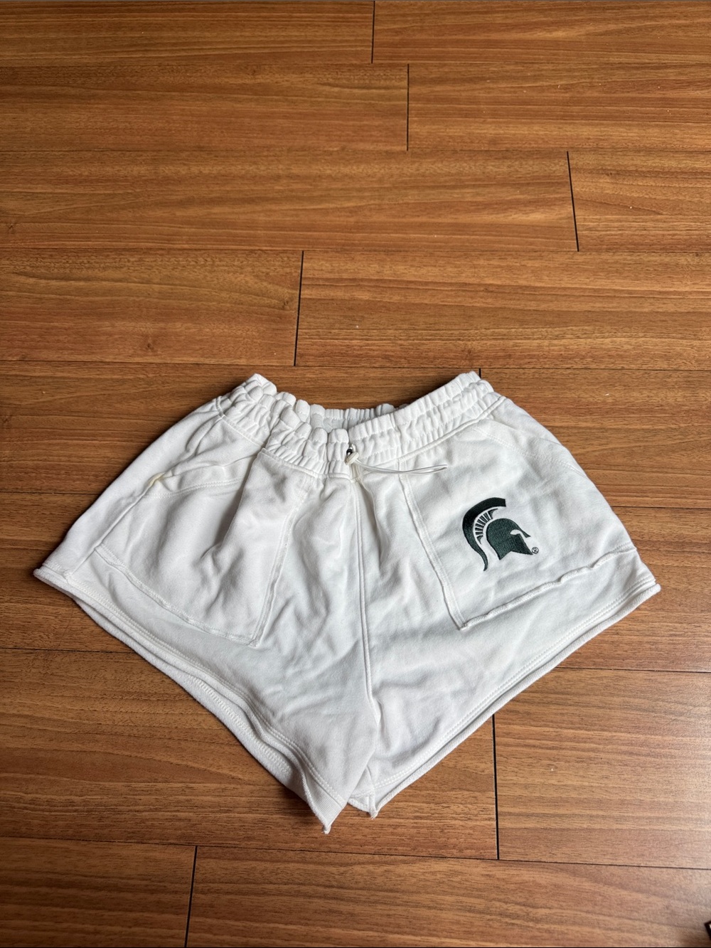 Michigan state embroidered shorts